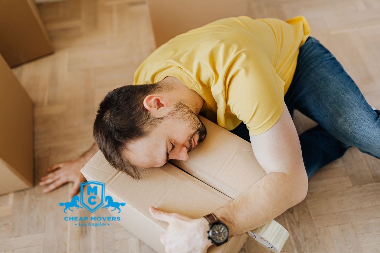 Top Rated Moving Companies Near Me